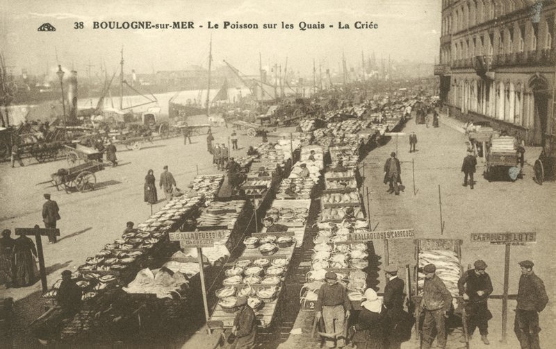 Poissons sur le quai, Boulogne-sur-Mer - French Photographer