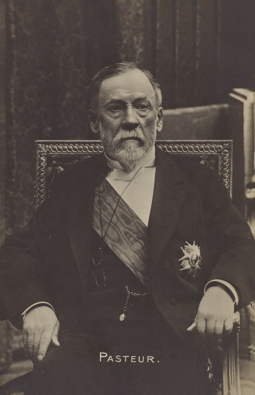 Louis Pasteur (1822-1895), chimiste et microbiologiste français - French Photographer