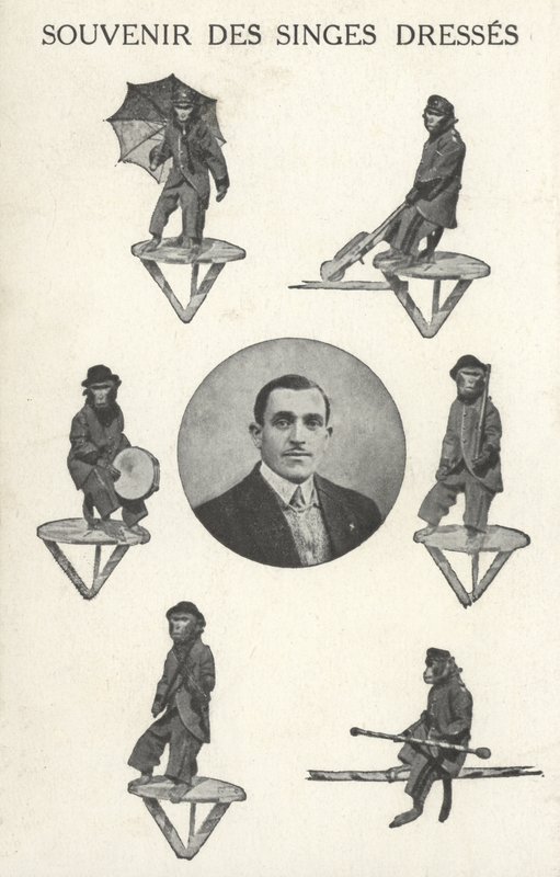 Singes en costume - French Photographer