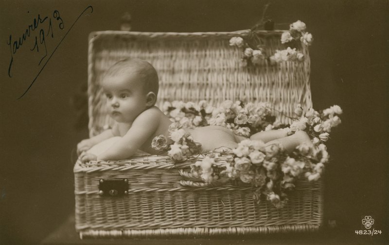 Bébé dans un panier en osier avec des fleurs - French Photographer