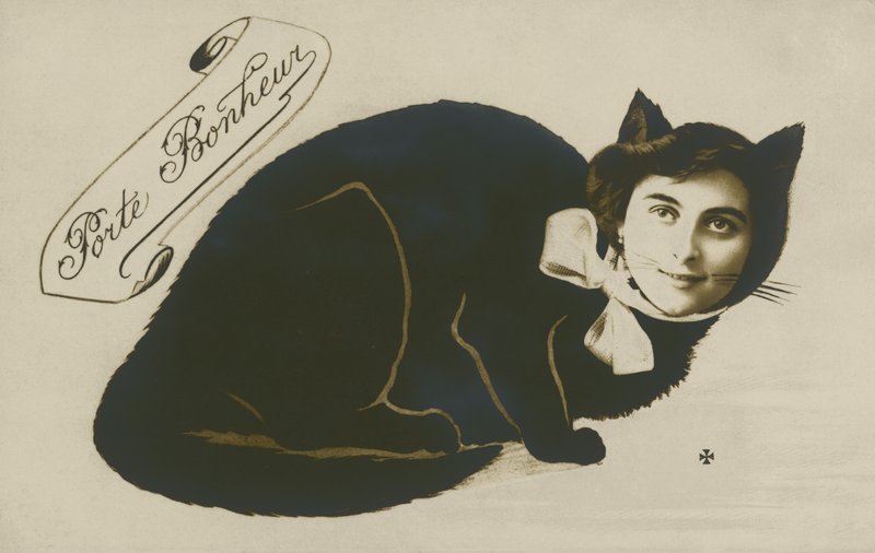 Chat surréaliste, avec visage de jolie fille - French Photographer