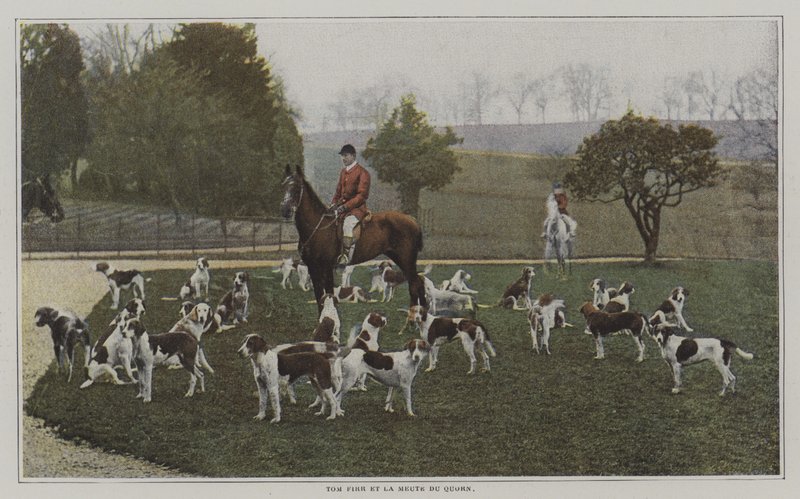 Tom Firr et les chiens de la Quorn Hunt, Leicestershire - French Photographer