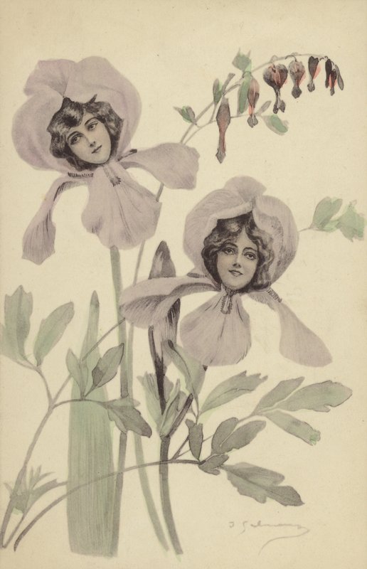 Deux fleurs d