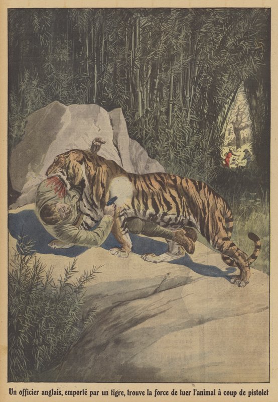 Un officier britannique, emporté par un tigre, trouve la force de tuer l