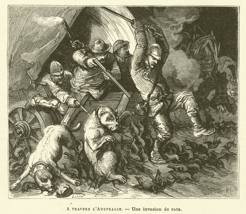 À travers l