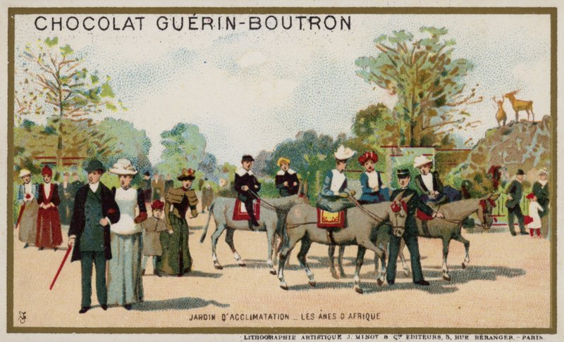 Ânes africains, Jardin d