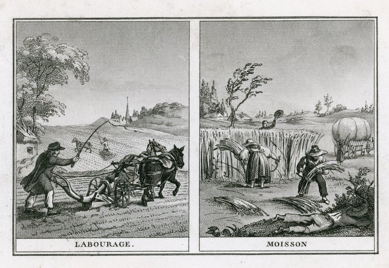 Scènes agricoles de labour et de récolte - French School