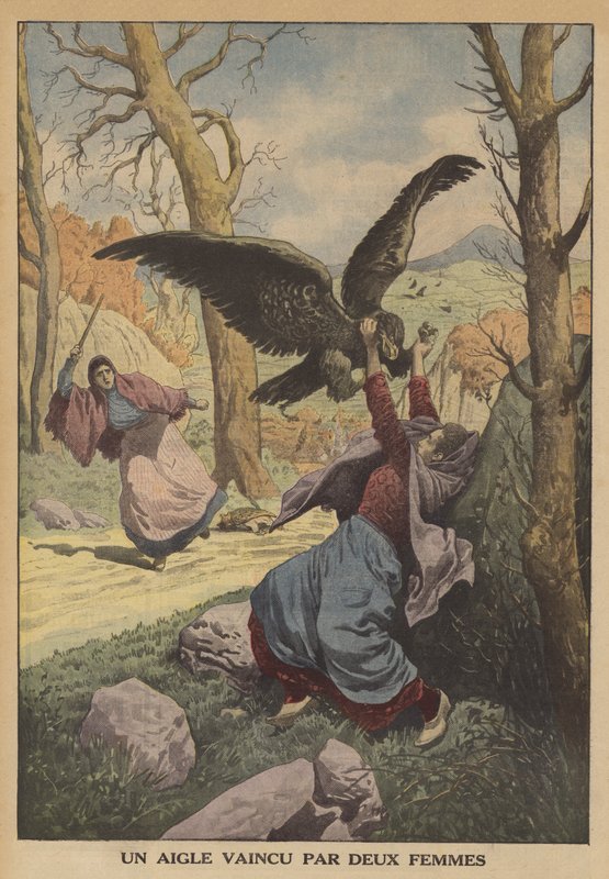 Un aigle vaincu par deux femmes - French School