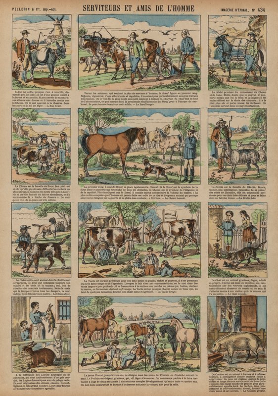 Animaux bénéfiques à l