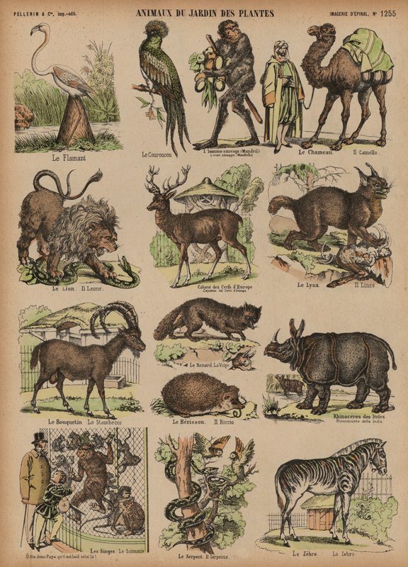 Animaux du Jardin des Plantes, Paris, France - French School