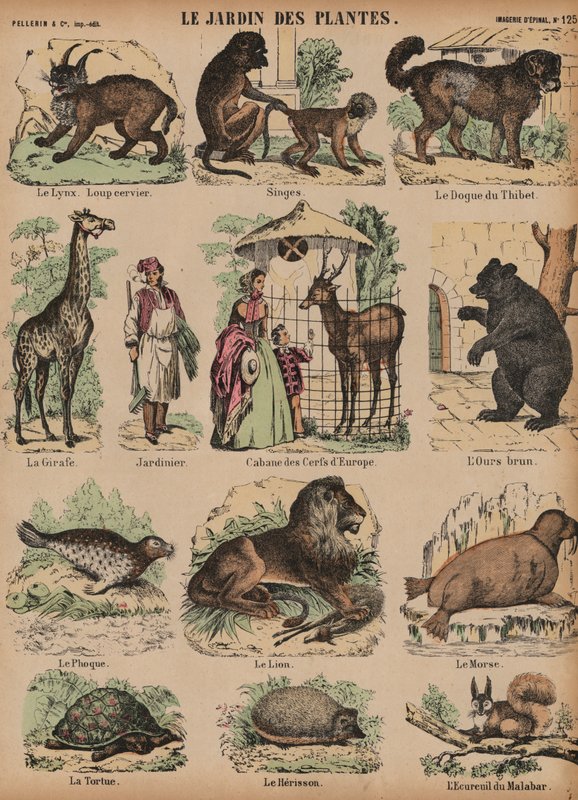 Animaux du Jardin des Plantes, Paris, France - French School