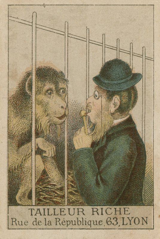 Singe et homme - French School