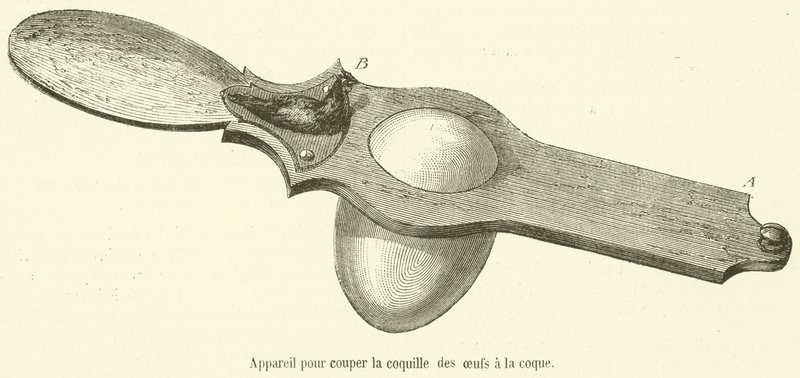 Appareil pour couper la coquille des œufs à la coque - French School