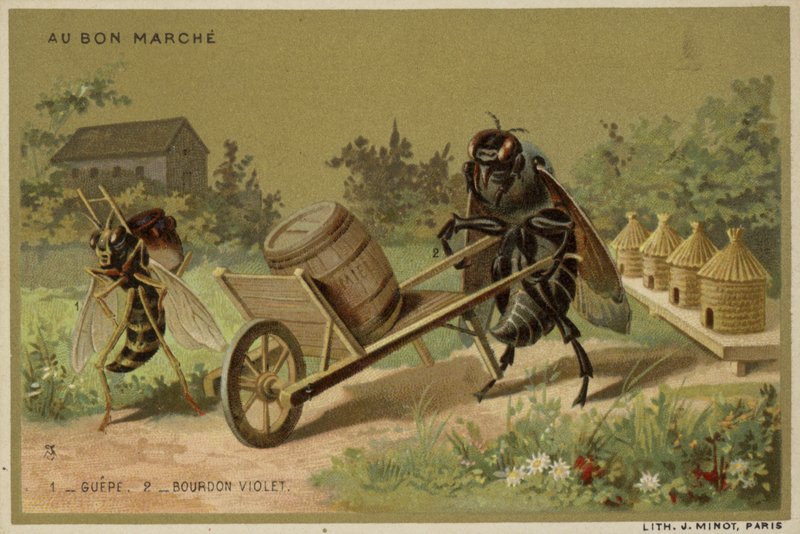 Cartes Au Bon Marché représentant des insectes anthropomorphes - French School
