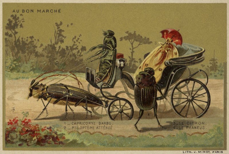 Cartes Au Bon Marché représentant des insectes anthropomorphes - French School