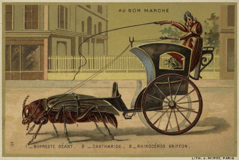 Cartes Au Bon Marché représentant des insectes anthropomorphes - French School