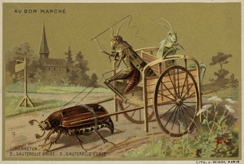 Cartes Au Bon Marché représentant des insectes anthropomorphes - French School