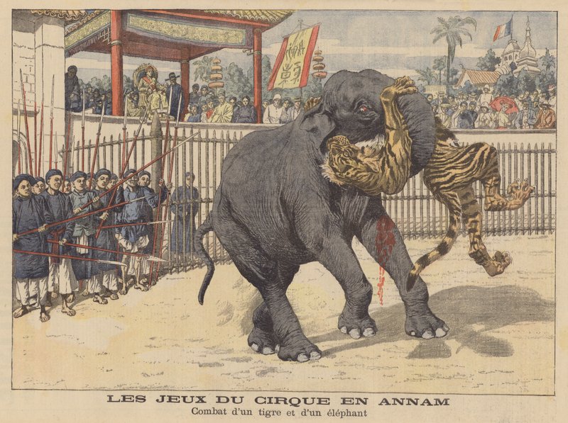 Combat entre un éléphant et un tigre dans un cirque en Annam, Indochine (lithographie couleur) - French School