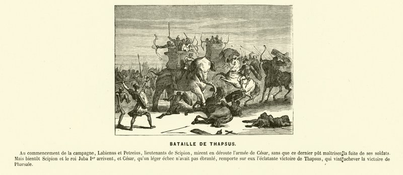 Bataille de Thapsus, Afrique du Nord, Guerre civile de César, 46 av. J.-C. (gravure) - French School