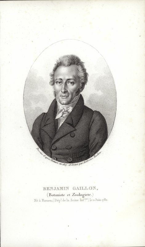 Benjamin Gaillon - French School