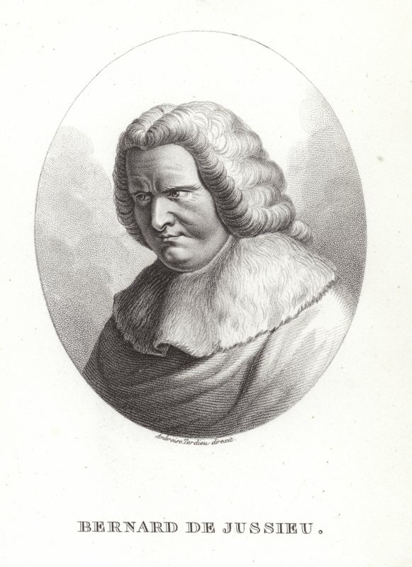 Bernard de Jussieu - French School