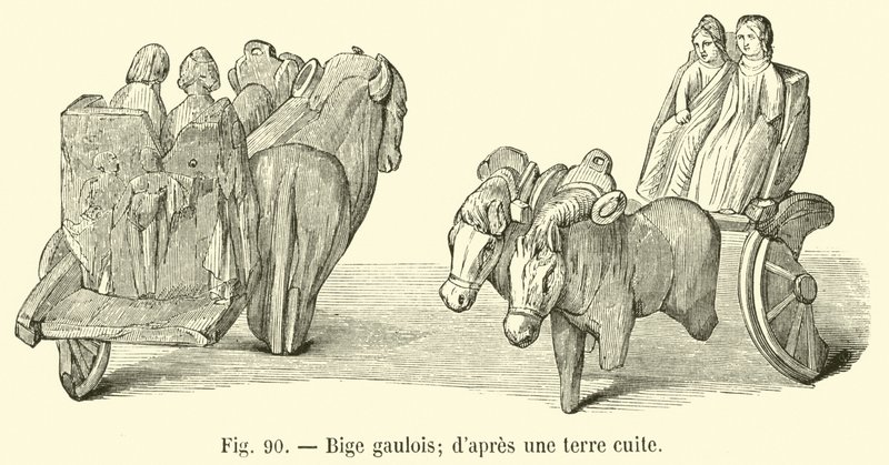 Bige gaulois - French School