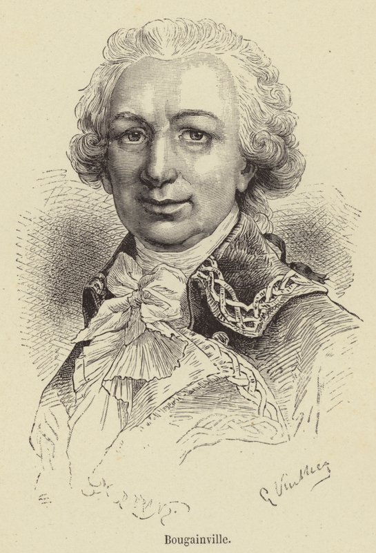 Bougainville (gravure) - French School