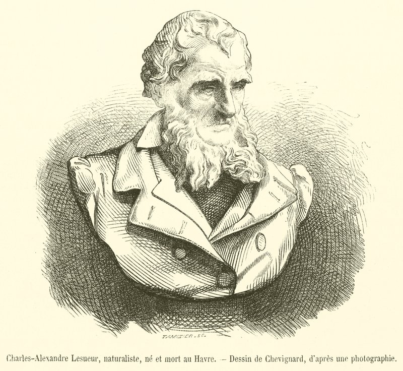 Charles-Alexandre Lesueur, naturaliste, né et mort au Havre - French School