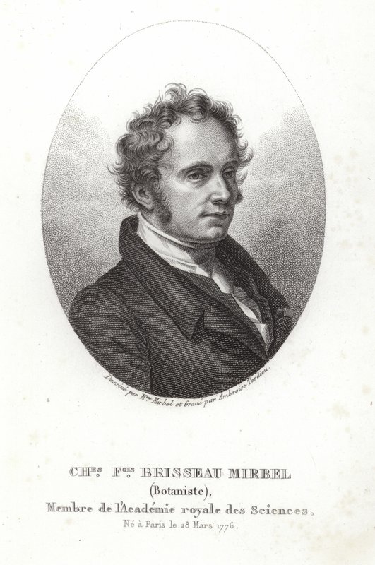 Charles-François Brisseau de Mirbel - French School