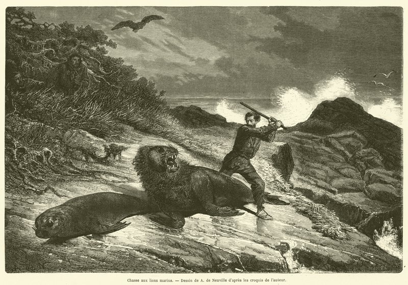 Chasse aux lions marins - French School