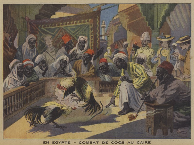 Combat de coqs au Caire - French School