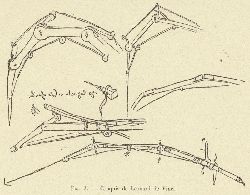 Croquis de Léonard de Vinci - French School