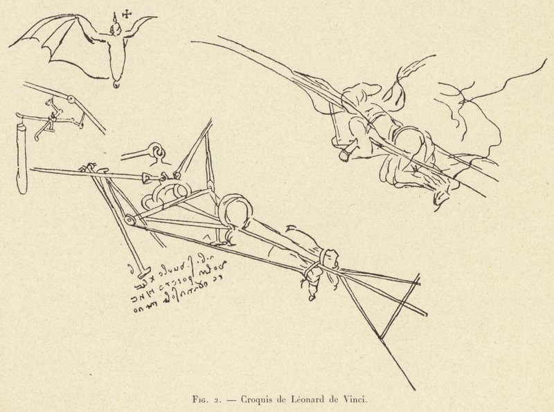 Croquis de Léonard de Vinci - French School