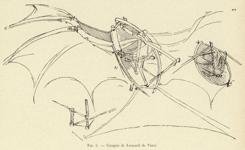 Croquis de Léonard de Vinci - French School
