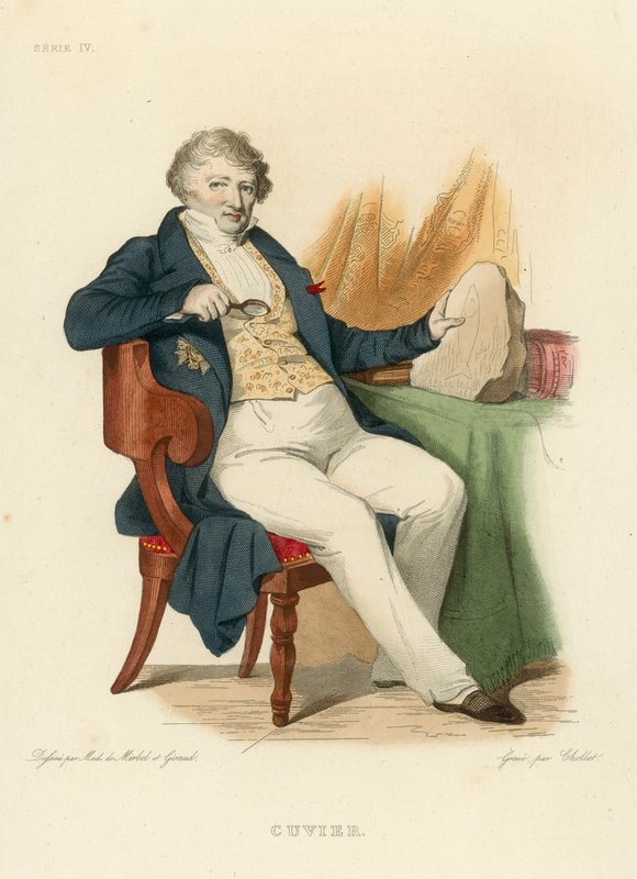 Cuvier - French School