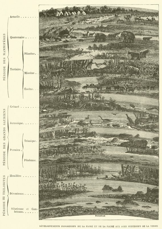 Développements progressifs de la flore et de la faune aux âges successifs de la terre - French School