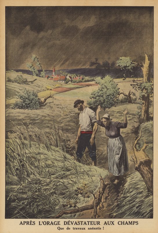 Champs dévastés par un orage en France - French School