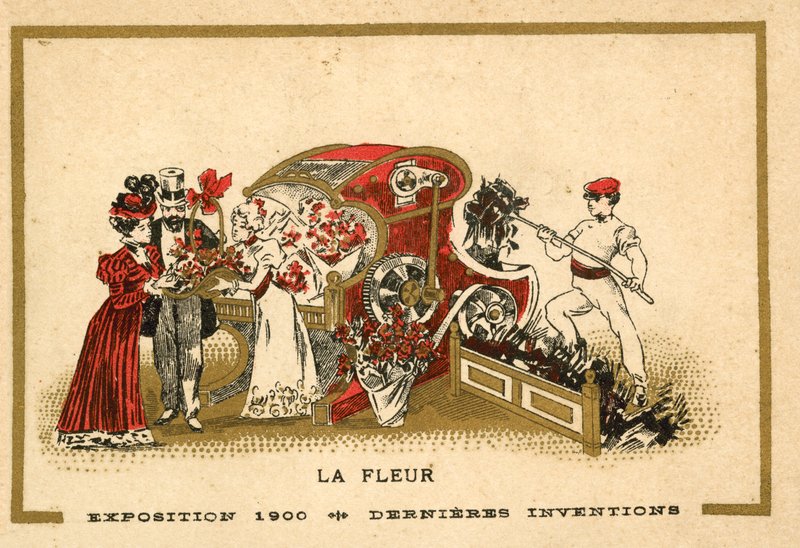 Fleurs - French School
