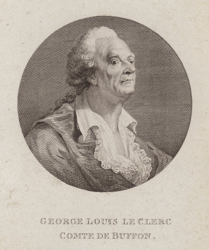 Georges-Louis Leclerc, Comte de Buffon, naturaliste français - French School