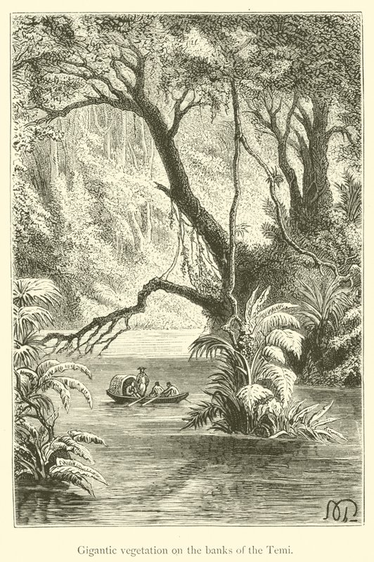 Végétation gigantesque sur les rives du Temi - French School