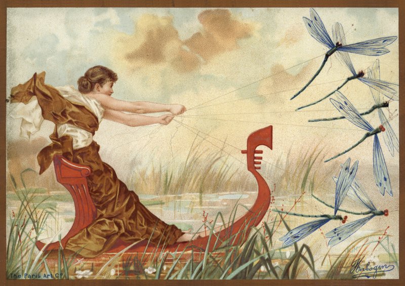 Fille tirée à travers l