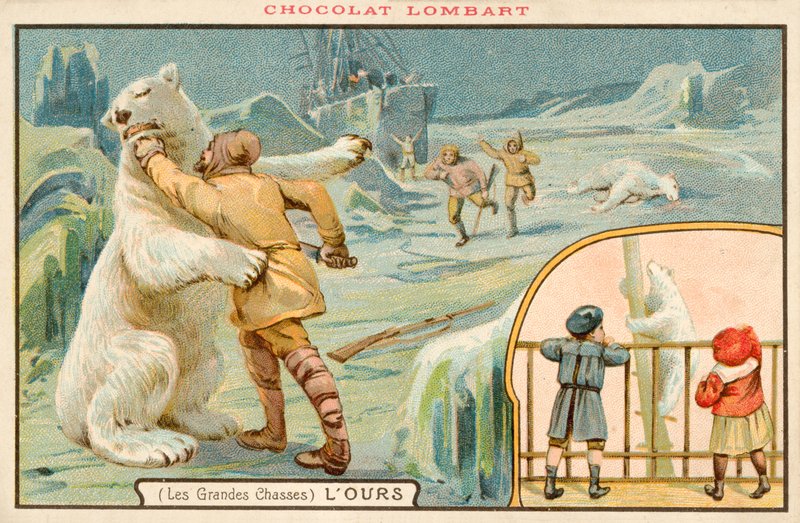 Chasse aux ours polaires - French School