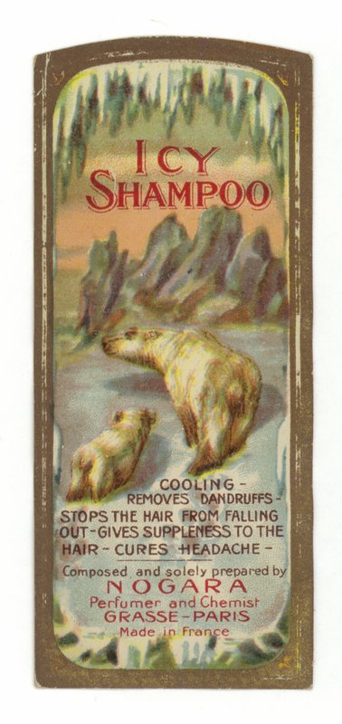 Étiquette Shampooing Glacé, Nogara - French School
