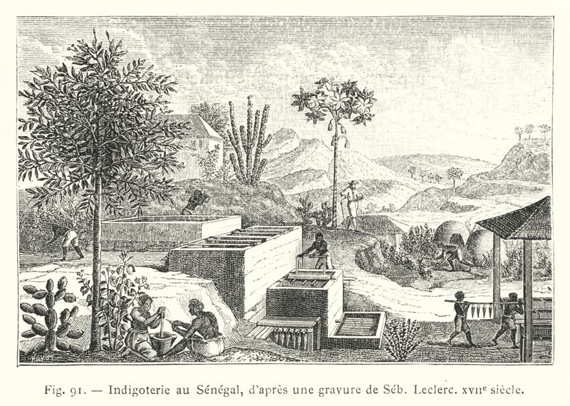 Indigoterie au Sénégal, d