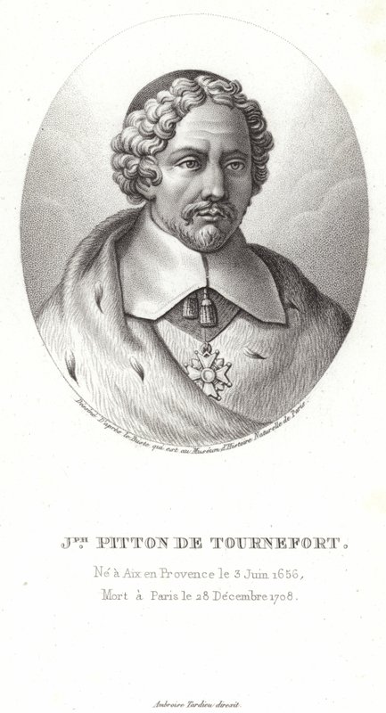 Joseph Pitton de Tournefort - French School