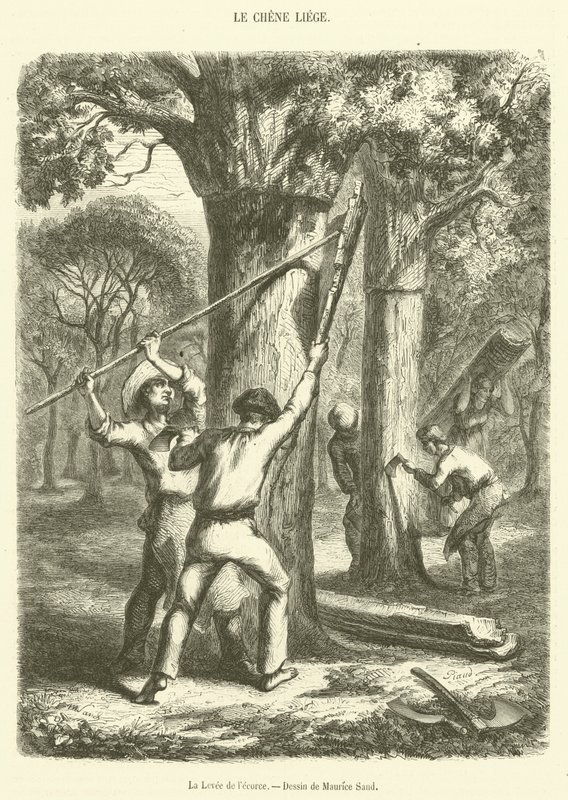 La Levée de l