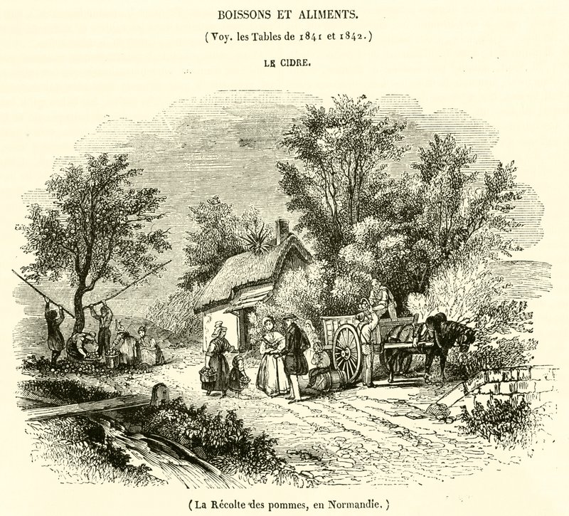 La Récolte des pommes, en Normandie - French School