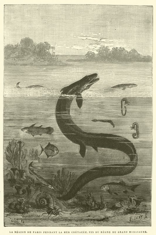 La région de Paris pendant la mer crétacée, fin du règne du grand mosasaure - French School