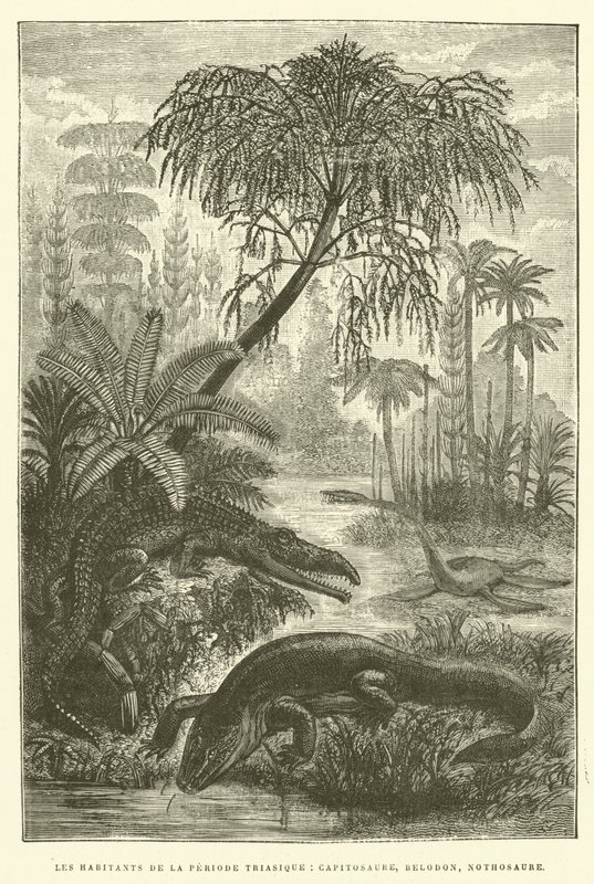 Les habitants de la période triasique, capitosaure, belodon, nothosaure (gravure) - French School