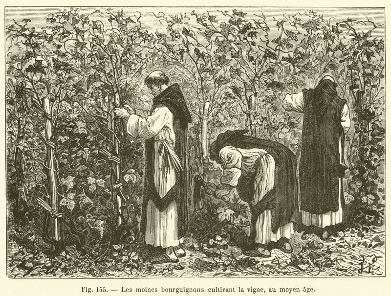 Les moines bourguignons cultivant la vigne, au moyen age - French School